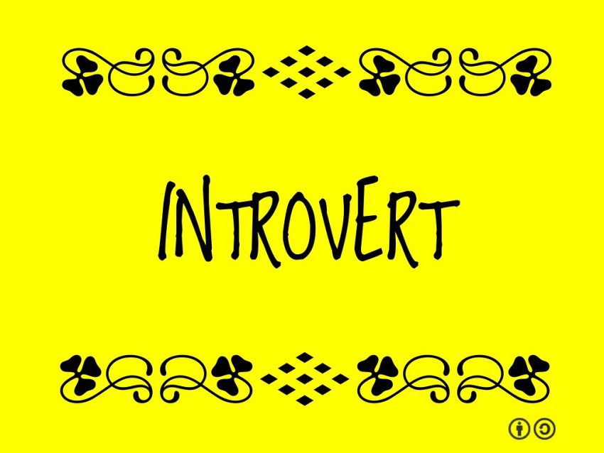 Hva Er Introvert