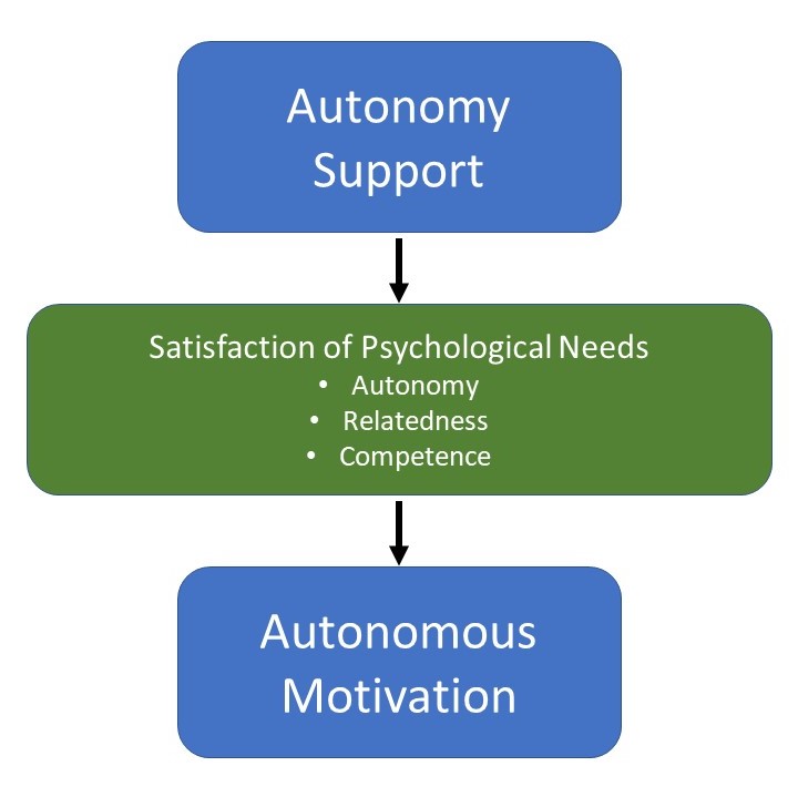 Hva Er Autonomi